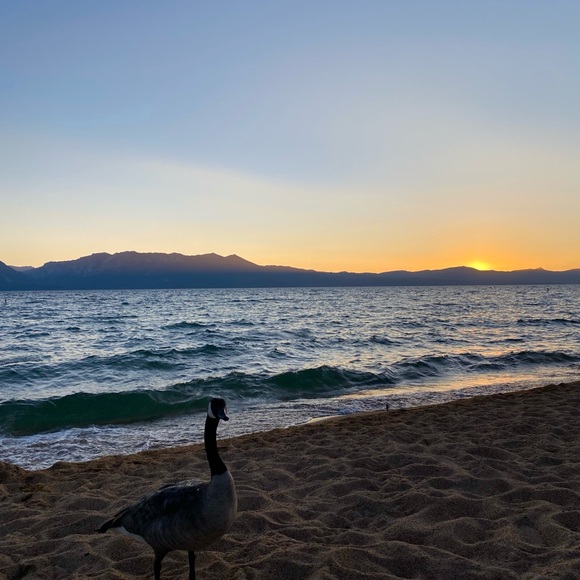 Meet your Posher, Wendy - Picture 1 of 1